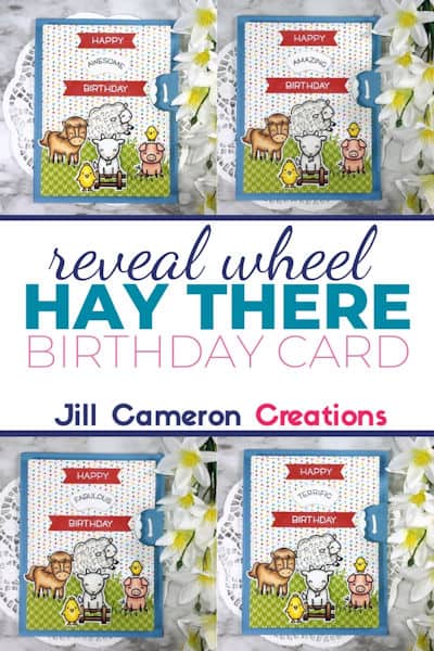 Reveal Wheel Hay There Birthday