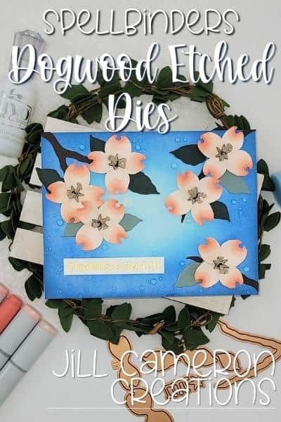 Spellbinders Dogwood Etched Dies 3D flowers cover